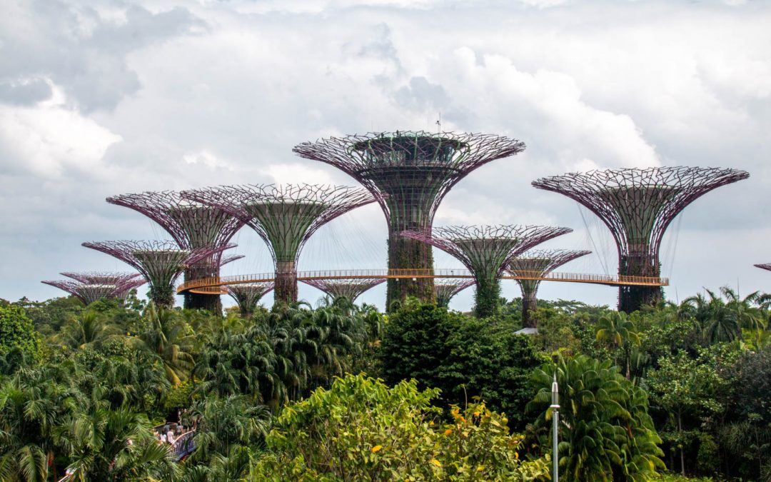 How to Visit Singapore With Only S$30 a Day